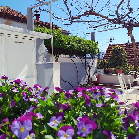 Apartman Kristina Čapljina Buitenkant foto